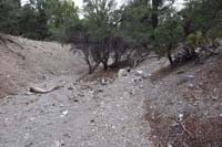 69-trail_continues_to_meander_in_and_out_of_the_wash