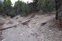 70-trail_continues_to_meander_in_and_out_of_the_wash