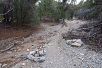 76-several_sets_of_cairns_between_reassure05_and_06_while_meandering_in_and_out_of_the_wash