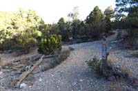09-Sawmill_30-turning_left(W),right_leads_to_Pinyon_Pine_Trail_making_a_loop