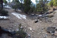 17-trail_veers_left_and_not_in_the_wash_ahead
