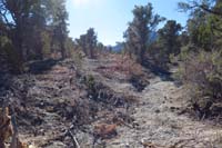 33-nearing_Mud_Springs_27_and_the_dirt_road,significant_evidence_of_prior_flood_damage