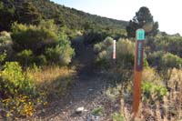 02-Step_Ladder_Loop_trail_marker-appropriate_for_horses,bikes,hikers