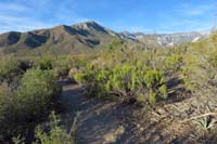 07-scenery_along_trail_heading_back_to_the_parking_lot