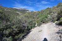 09-looped_around_down_Pixie_Trail,pretty_scenery