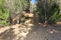 14-Shoots-MinxJCT_waypoint,left-Shoots_and_Ladders,right-Minx