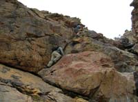12-Dave_and_Don_climbing_rocks