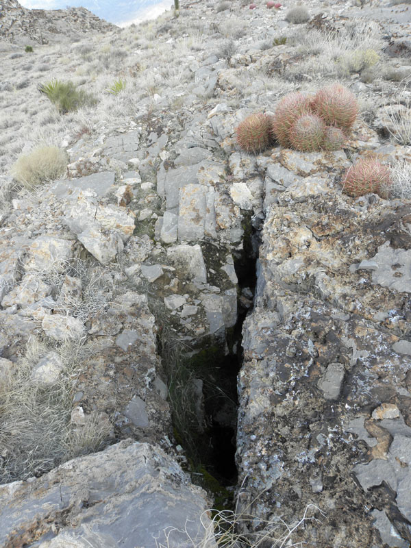24-contrast_of_warm_moist_steam_vent_with_arid_Barrel_Cacti_growing_nearby