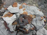 05-very_neat_rock_formation