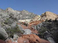 011-pretty_scenery-we_are_hiking_through_the_Keystone_Thrust_Fault