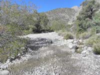09-interested_in_seeing_what's_up_there_and_when_does_water_stop_flowing-about_.75_miles_up_canyon