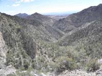 29-view_looking_back_to_canyon_I_traveled