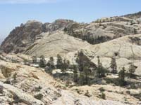 27-The_Park-look_at_all_the_trees_in_the_middle_of_sandstone