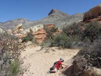 05-one_of_the_many_stops_to_play_in_the_sand_along_the_trail-Turtlehead_Peak_in_background