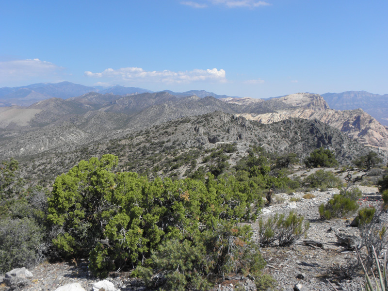 05-view_from_Mountains_Springs_Benchmark-looking_N_towards_Spring_Mountains
