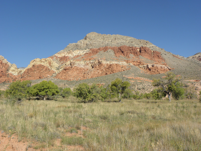 01-New_Peak_with_Ash_Spring-up_to_left,down_from_rightj-Calico_Basin