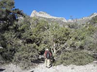 02-Paul_leading_the_way_up_the_drainage-on_way_to_right_portion_of_cliff-peak_to_upper_left
