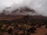 24-Pine_Creek_turnout-very_neat_low_clouds_covering_Bridge_Point_with_cholla_and_yucca_in_foreground