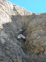 19-Ed_encountered_some_serious_class_5_scrambling_with_steeper_terrain_above-aborted