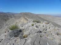 28-scenic_view_from_Peak_5356-high_point_for_Summerlin_ridge_is_over_there_to_NW