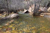 09-more_water_than_usual_flowing_in_Pine_Creek