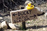 21-trail_marker_with_a_ducky