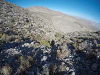 19-terrain_is_brushier_than_anticipated_which_makes_the_descent_more_interesting-GoPro
