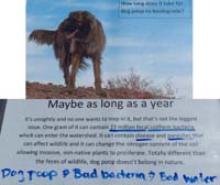 22-How_long_does_it_take_for_dog_poop_to_biodegrade