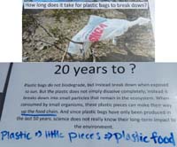 23-How_long_does_it_take_for_plastic_bags_to_break_down