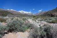 16-scenic_view-Schaefer_Spring_Loop_Trail_that_way