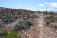25-we_exit_the_canyon,now_on_a_trail_named_SARS