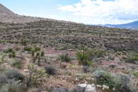36-pretty_desert_scenery,too_bad_the_gypsum_mine_dumped_debris_on_the_desert