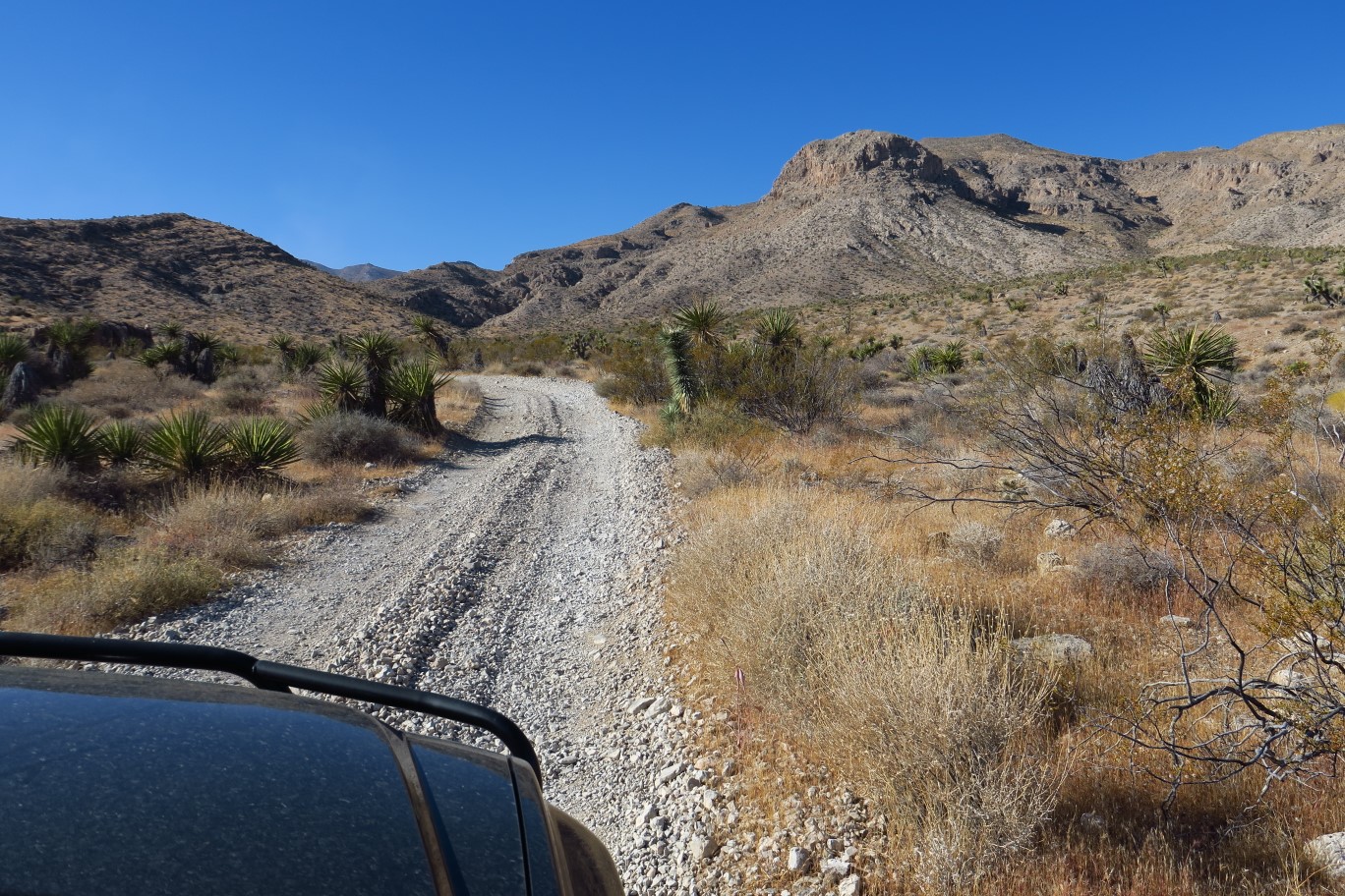 03-heading_up_dirt_road_to_Box_Canyon-Lonely_Pinyon_Mt_to_right
