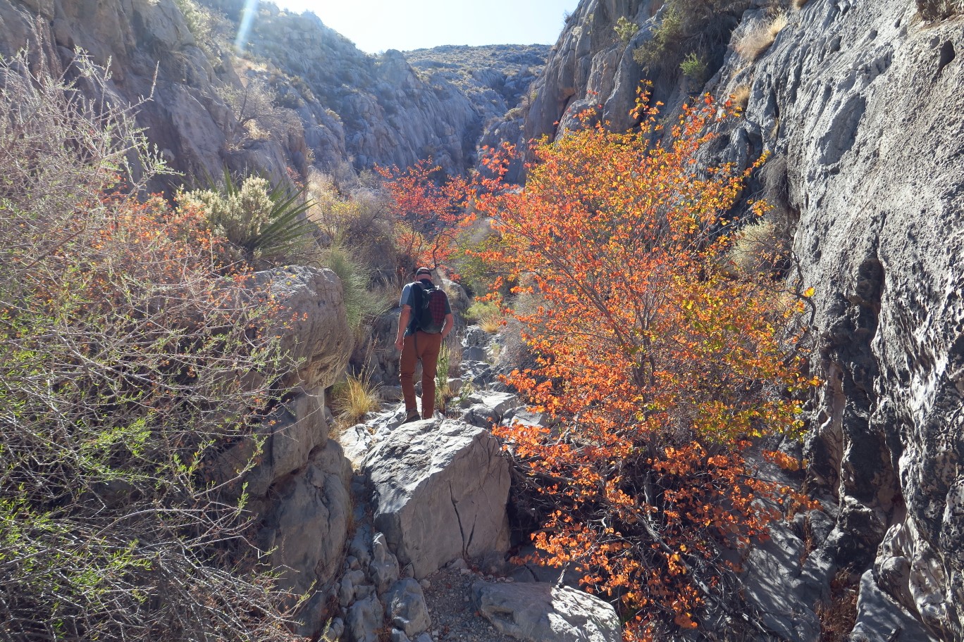 13-pretty_scenery_in_Trench_Canyon,great_fall_colors