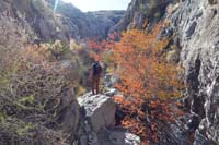 13-pretty_scenery_in_Trench_Canyon,great_fall_colors