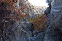 14-pretty_scenery_in_Trench_Canyon_slot_canyon,great_fall_colors
