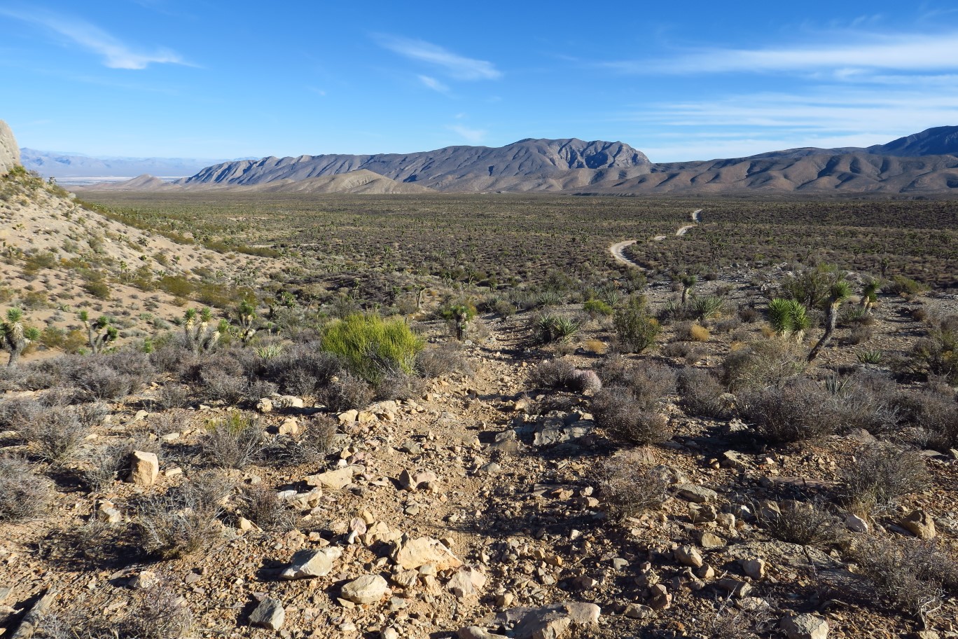 63-scenic_view_along_Grapevine_Drop_trail