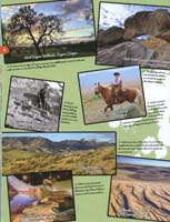 099-BLM_Junior_Ranger_program_for_Sloan_Canyon_NCA08