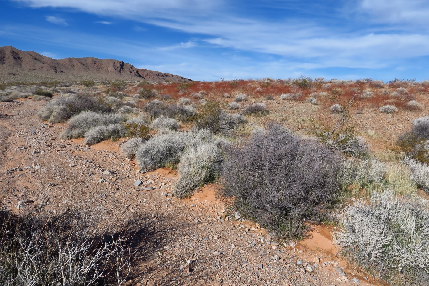 38-looking_back,trail_is_not_obvious_counter_clockwise