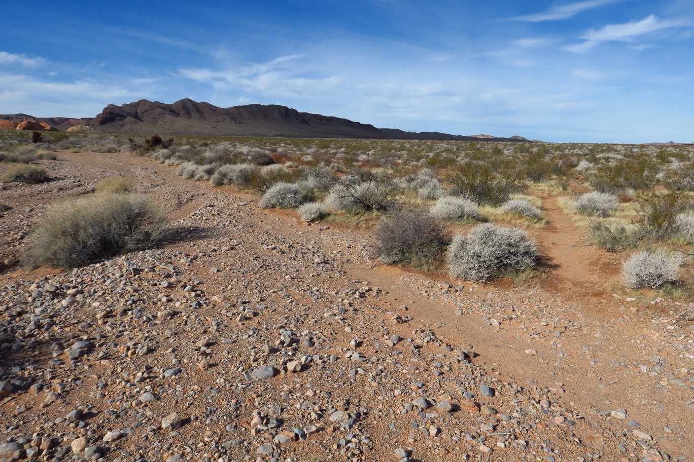 45-looking_back,loop_connects_here,unmarked_counter_clockwise_trail_to_right_and_clockwise_trail_to_left