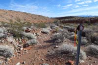 32-obvious_trail_markers-extra_trail_ribbons_placed_today_by_race_crew_in_preparation_for_race