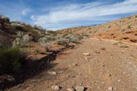 33-looking_back_to_trail_traveling_down_a_wash