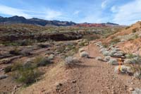 36-looking_back_to_scenic_view_and_trail_from_wash