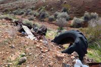 41-lots_of_trash-old_enough_to_be_considered_historic_so_won't_be_removed