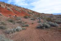 43-trail_continues_through_the_wash,but_mostly_on_the_north_side