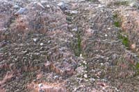 44-wash_slope_riddled_with_cryptobiotic_soil_which_holds_up_the_slope