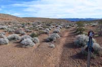 48-trail_marker_and_cairn,veer_to_left_to_see_trail_marker_in_wash