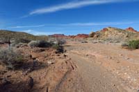 50-looking_back_to_trail_on_left_and_pretty_scenery_up_wash