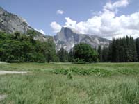 01-meadow_with_Half_Dome