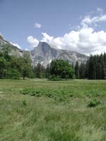 02-meadow_with_Half_Dome